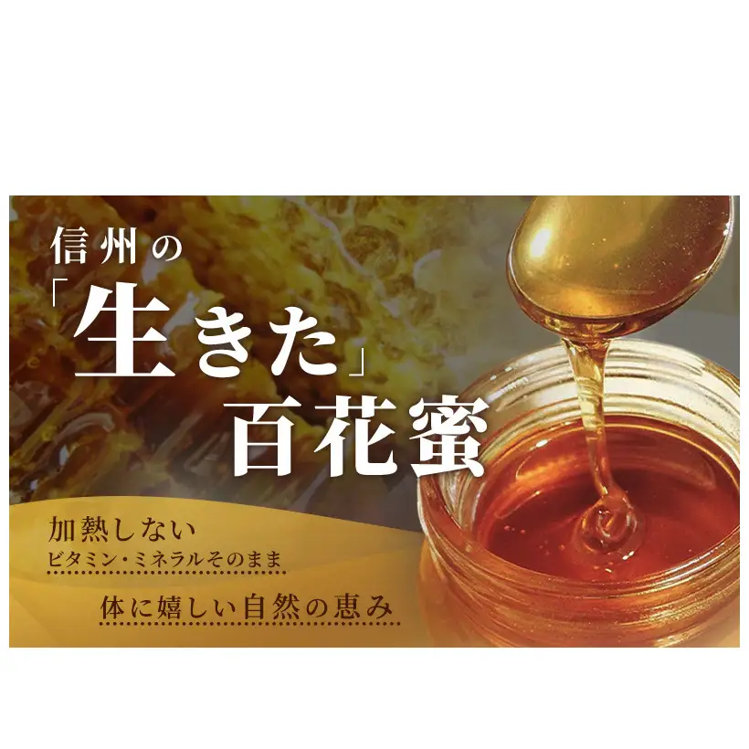 信州日本みつばち 和蜂蜜（600g）