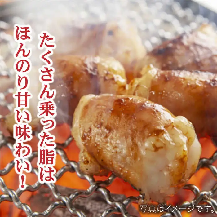 プリプリで味わい深い！ホルモン専門店の和牛丸腸600g（約3~4人前）吉野ヶ里町/三田川ホルモン専門店 焼肉 BBQ キャンプ 味付き 甘辛 国産 和牛 簡単 焼くだけ 吉野ヶ里町 [FAC006]
