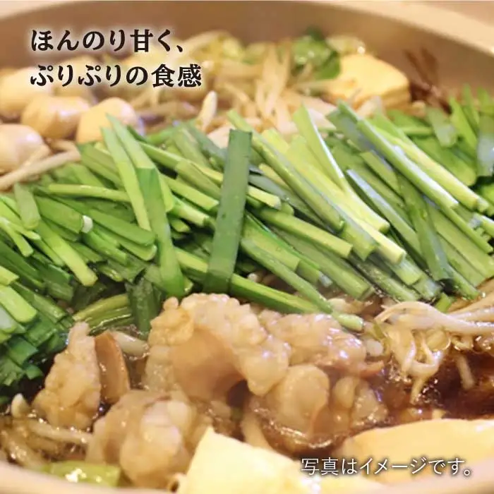 プリプリで味わい深い！ホルモン専門店の和牛小腸 600g（約3~4人前）【三田川ホルモン専門店】吉野ヶ里町 [FAC007]