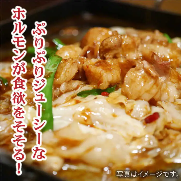 ホルモン専門店の和牛シマ腸 600g（3?4人前）[FAC008]