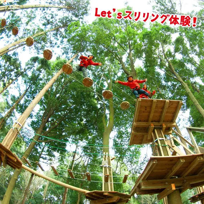 【フォレストアドベンチャー・吉野ヶ里】【ワクワク楽しい！】 アドベンチャーコース（スタンダードプラン・1名チケット） 家族 子供 大人 アクティビティ 遊ぶ 体験 旅行 日帰り [FBQ004]