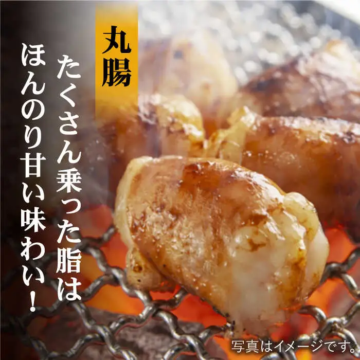 【味付】【大容量】プリプリで味わい深い！ホルモン専門店のホルモンセット900g（丸腸・上ホルモン・シマ腸各300g）【三田川ホルモン専門店】吉野ヶ里町 [FAC010]