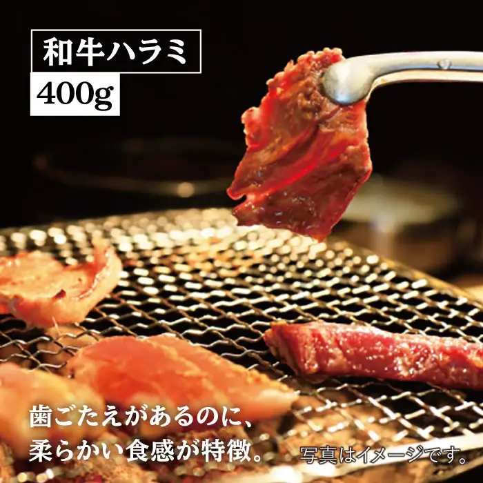 【味付】【大容量】ホルモン専門店の豪華！焼き肉4種セット計1kg（和牛ハラミ 400g ／ 豚ハラミ・丸腸・シマ腸 各200g） 吉野ヶ里町/三田川ホルモン専門店 [FAC011]