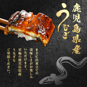 東串良町のうなぎ蒲焼(無頭)(3尾・計約630g・タレ、山椒付)うなぎ 高級 ウナギ 鰻 国産 蒲焼 蒲焼き たれ 鹿児島 ふるさと 人気【アクアおおすみ】【0204356a】