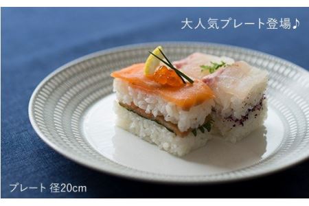 【波佐見焼】センティアラポール 20cm プレート 4枚セット 食器 皿 【西山】【NISHIYAMAJAPAN】 [CB46]  波佐見焼