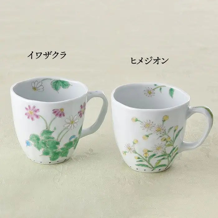 【波佐見焼】色絵ヒメジオン・イワザクラ マグカップ 揃い 食器 皿 【藍水】 [GB15]  波佐見焼