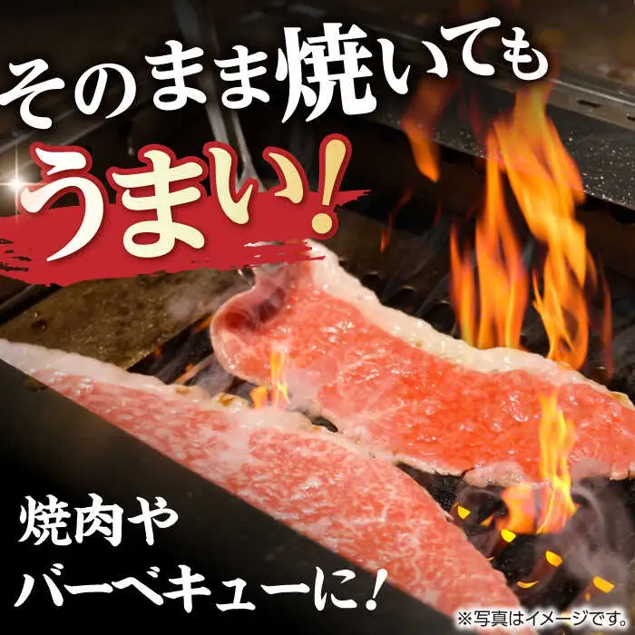 ウデ 1.2kg 600g×2P 長崎和牛 [YA12]  肉 牛肉 すき焼き しゃぶしゃぶ 