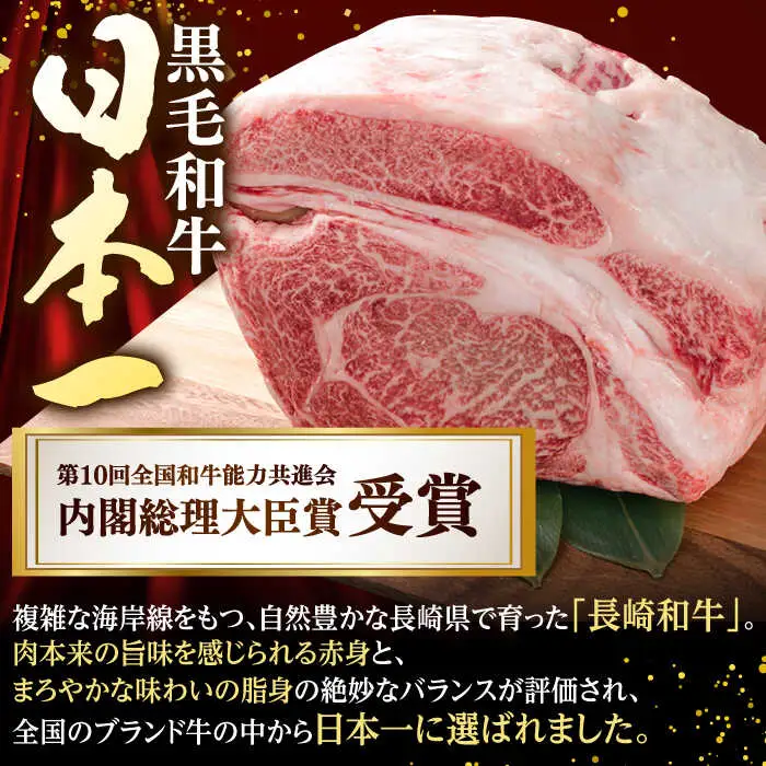 【全2回】 サーロイン サイコロステーキ ハンバーグ 総量3kg以上 セット 長崎和牛 [NA65] 肉 牛肉 サーロインステーキ 焼肉 おかず 惣菜 定期便