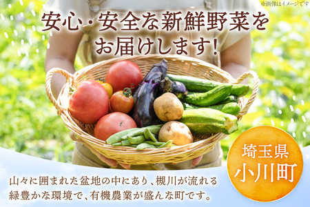 OGAWA'N 野菜 セット 定期便 6回