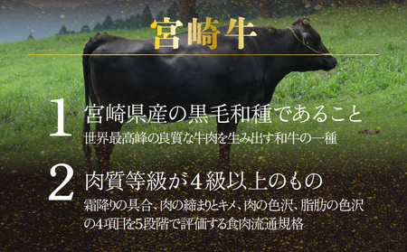 ＜冷凍＞A4等級以上！宮崎牛切り落とし(250g×2P・計500g) 牛 牛肉 切り落とし_K008-018