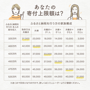 フードプロセッサー オールチョッパー フードプロセッサー
