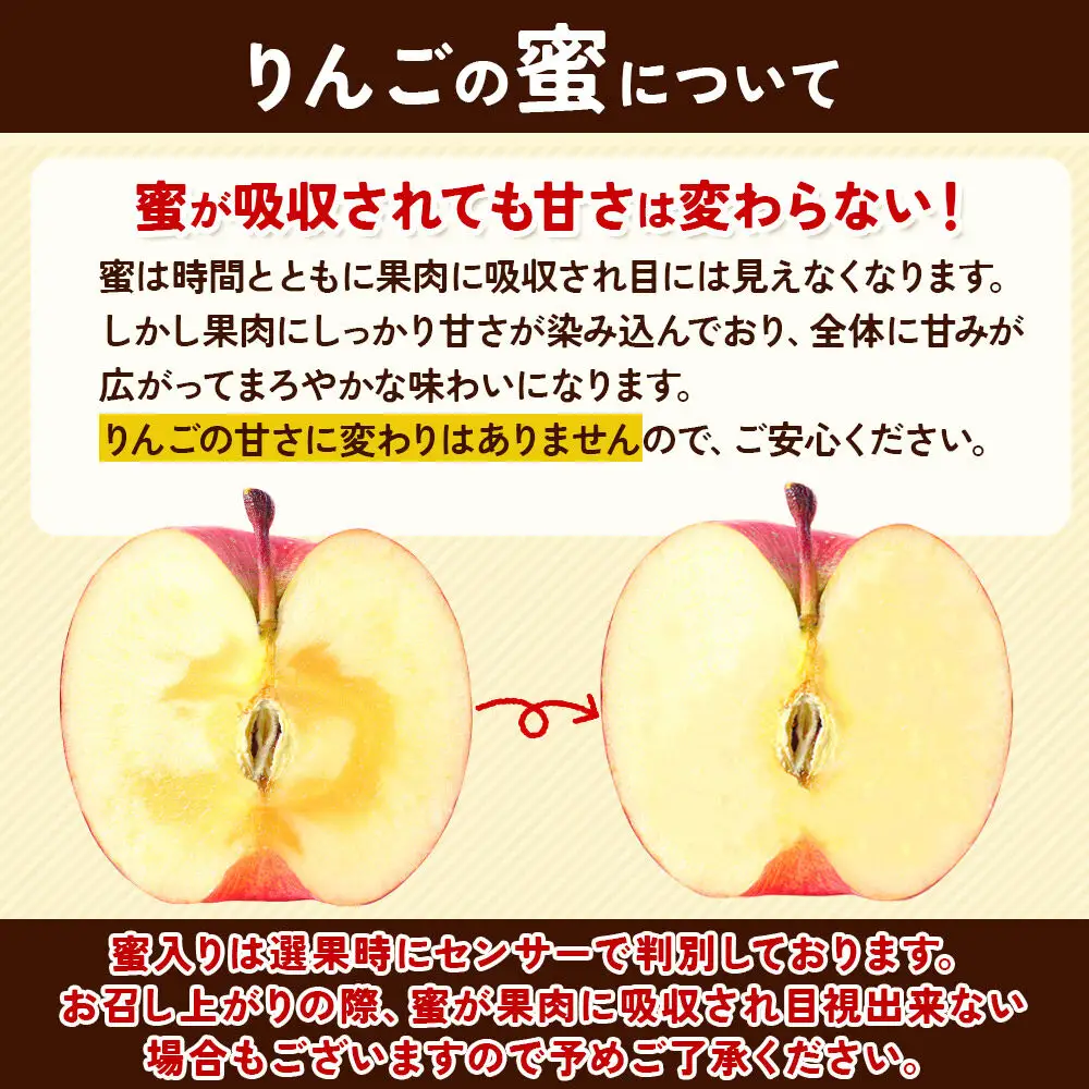 りんご サンふじ【特選】約3kg（9個）最高等級 蜜入り 先行受付