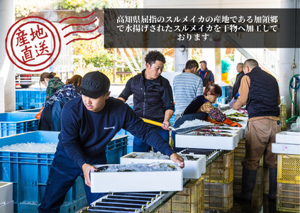 イカの一日干し３枚 スルメイカ 《カネアリ水産》 