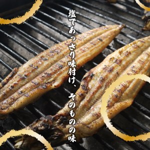 AK002_【冷蔵発送】朝開き国産うなぎ当日発送２尾（1尾あたり約200～230ｇ） 塩焼き 国産鰻 ウナギ