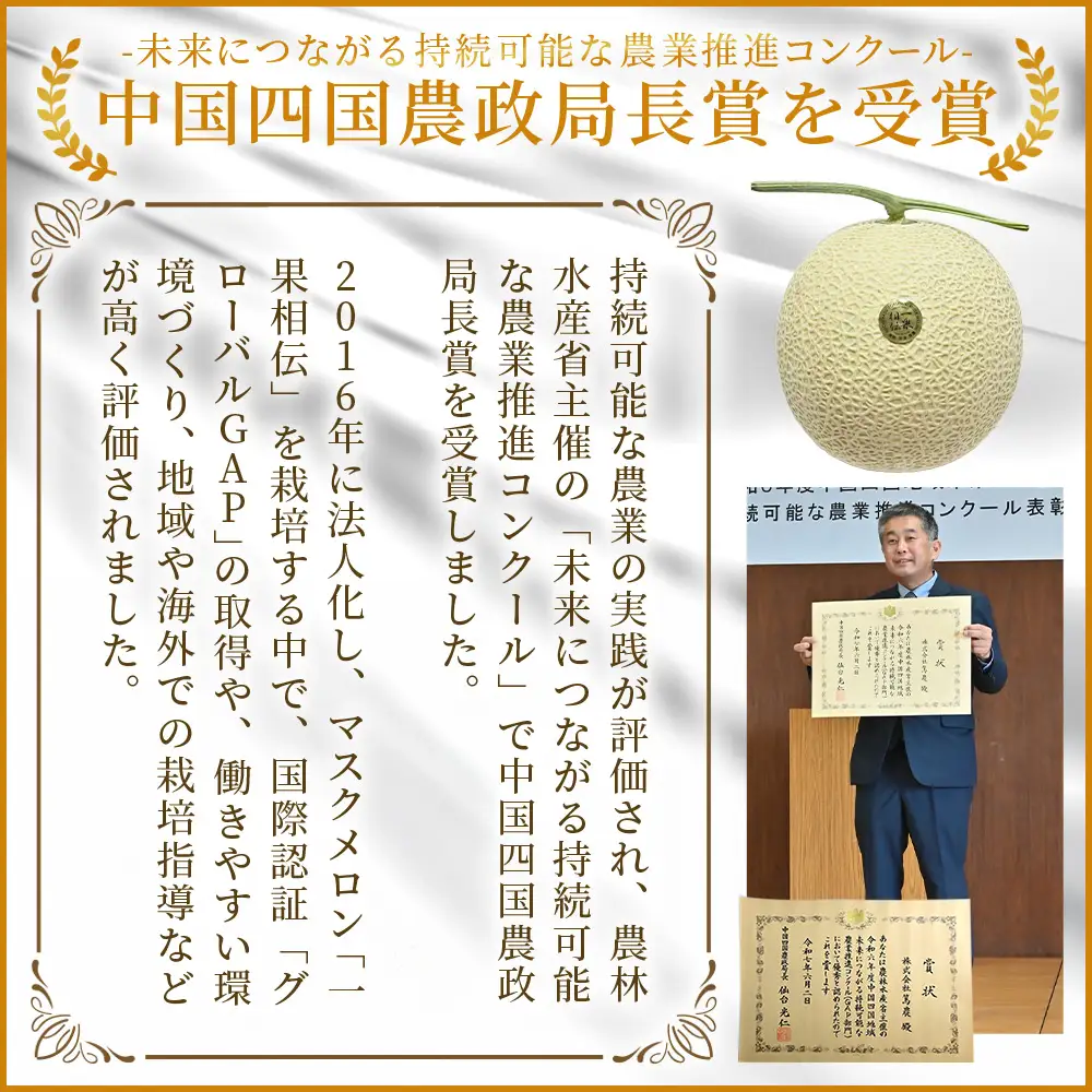 高知県香南市産 マスクメロン 2玉 【 国産メロン マスクメロン メロン メロン ハウスメロン 甘いメロン 】 tn-0012