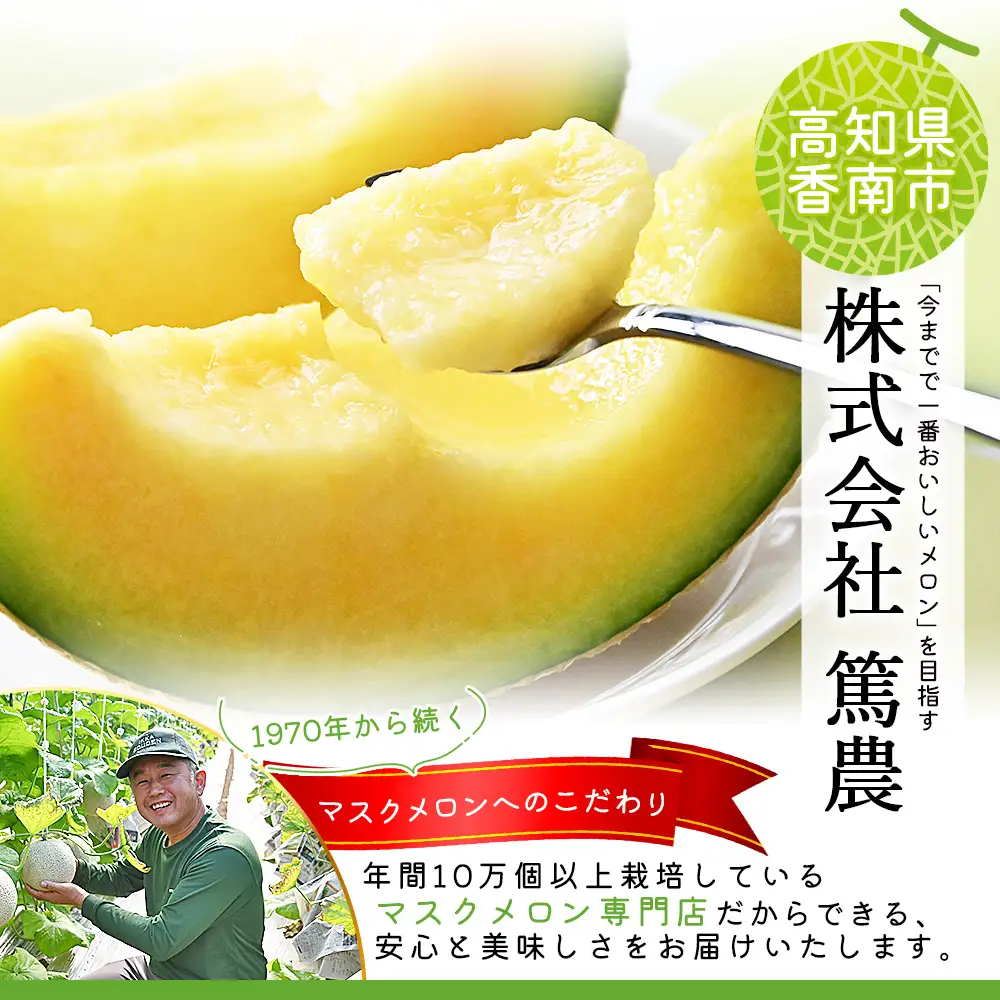 メロンピューレ 120g×6袋 ピューレ tn-0007