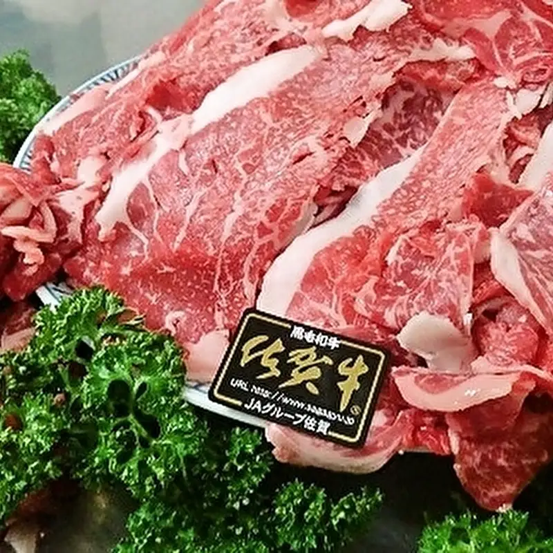 【6回定期便】老舗の佐賀牛 極撰定期便 奇数月配送 全6回 定期便 _f-30