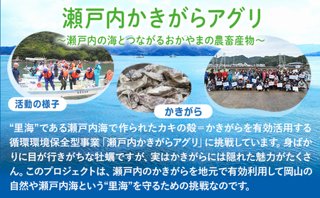 里海米3パック 計6kg 無洗米 長期保存可
