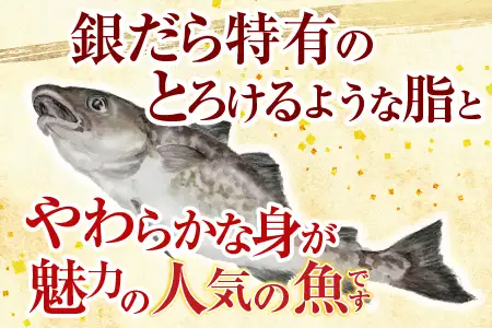 銀だら煮付け A-09023