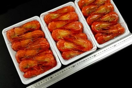 北海しまえび1.5kg(500g×3P)(48～69尾) B-14037