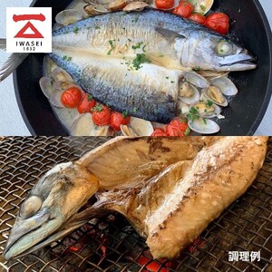 「塩鯖4枚セット 」塩鯖　塩さば　塩サバ　国産　冷凍 グルメ　贈答 (a12-311)
