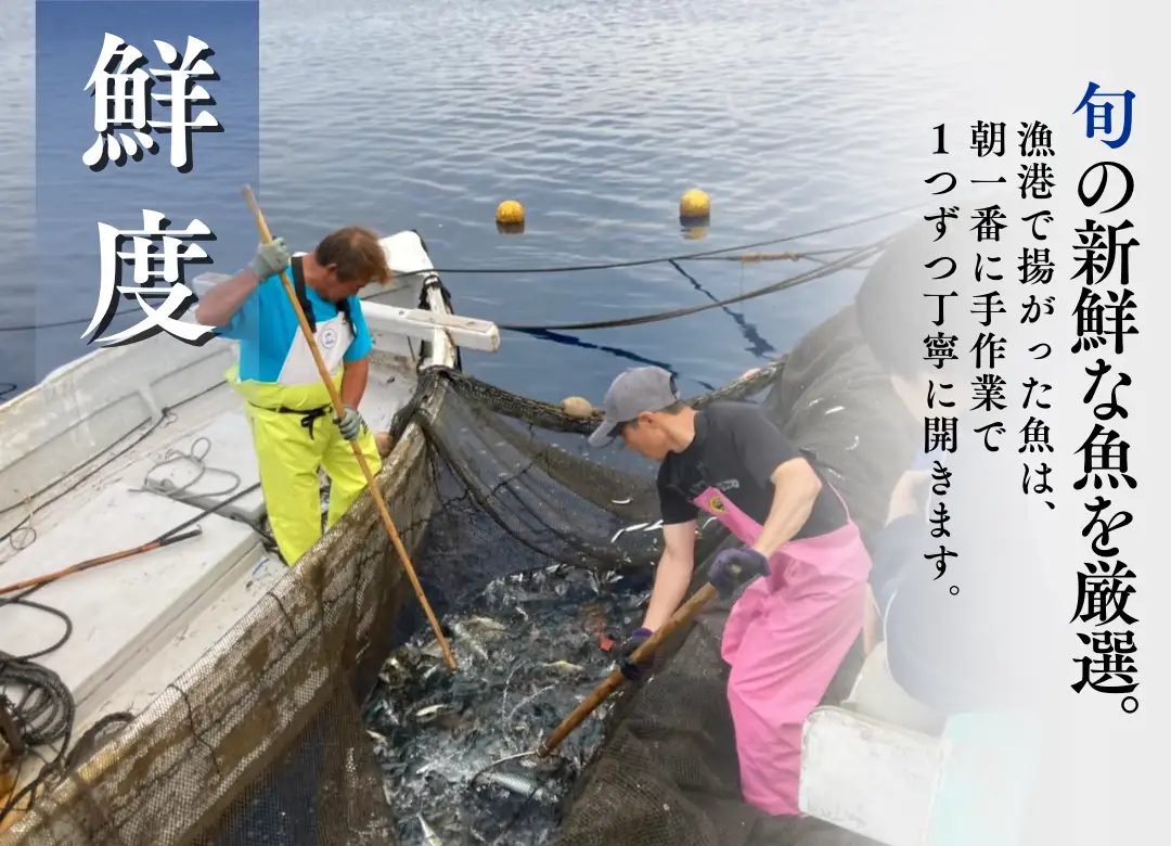 ひもの詰め合わせセット④　　【 干物 】