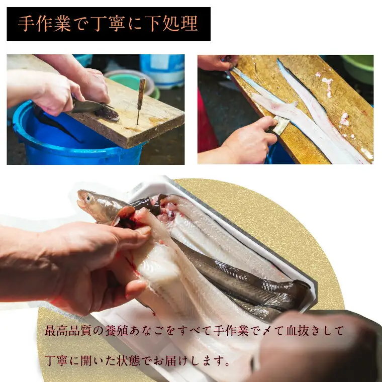 あなごの開き 穴子 あなご アナゴ 生 冷蔵 養殖 すし 寿司 刺身 白焼き 天ぷら 煮物 かば焼き 限定 旨味 ふわふわ I7
