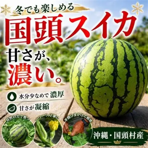 【2027年2月中旬から順次発送】島袋さんの冬スイカ 2玉(1玉3.5～4.5kg)【配送不可地域：離島】【1577666】