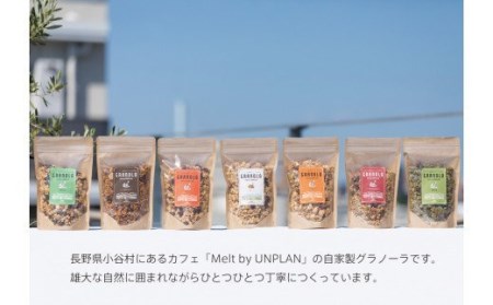 【隔月定期便/年6回】HAKUBA VALLEY 自家製グラノーラ