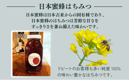 【数量限定】串間産純度100％ 日本蜜蜂はちみつ 1200g_K017-019