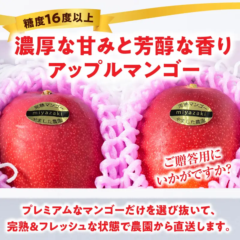 糖度15度以上の高評価の宮崎完熟マンゴー（3L×2玉入・贈答用）＜ギフト用＞ 1箱_K005-008