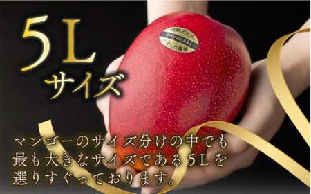 糖度15度以上の宮崎完熟マンゴー(5L×1玉入・贈答用) ＜ギフト用＞1箱_K005-011