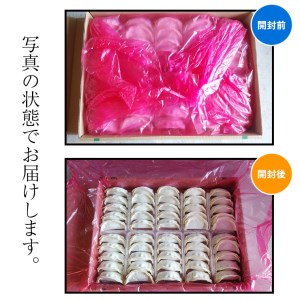 国産豚肉！国産野菜使用！冷凍餃子100個セット 冷凍食品 惣菜 中華惣菜 まとめ買い