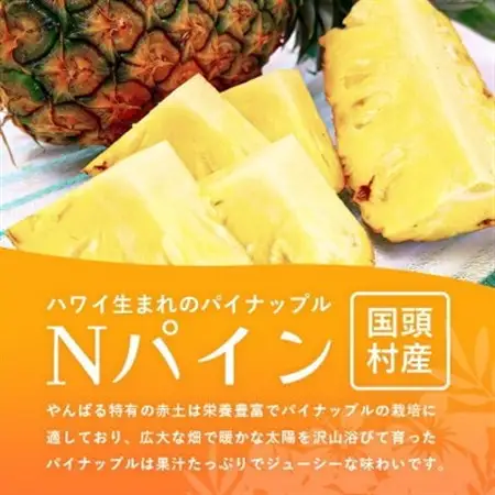 【2026年7月から順次発送】パイナップルの王道 Nパイン4玉【配送不可地域：離島】【1584608】