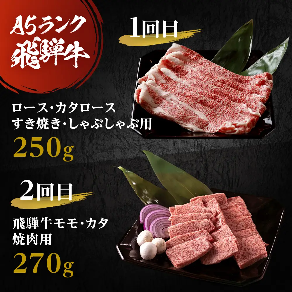 A5飛騨牛 定期便 5回 ちょこちょこお届け 牛肉｜ 定期便 