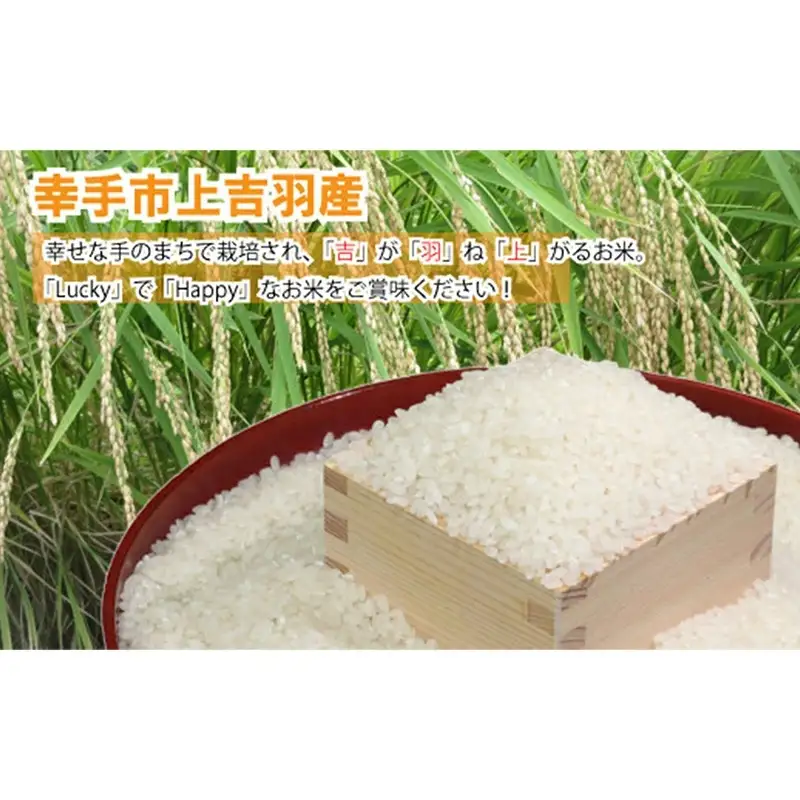 【令和7年産米】食味Aランク継続中の銘柄 彩のきずな 精米10kg - お米 白米 ごはん 銘柄 減農薬