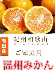 【2026年11月下旬頃より発送】紀州 有田産 濃厚甘熟 温州みかん 5kg【家庭用 訳あり】_G7347