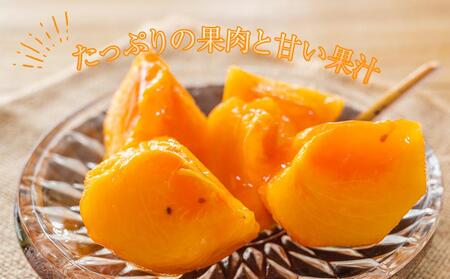 【訳あり・ご家庭用】和歌山県産 富有柿 約7.5kg【11月上旬から11月下旬頃順次発送】【S96006-mtgn050】