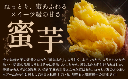 中無田農園の紅はるか 約1.5kg さつまいも 芋
