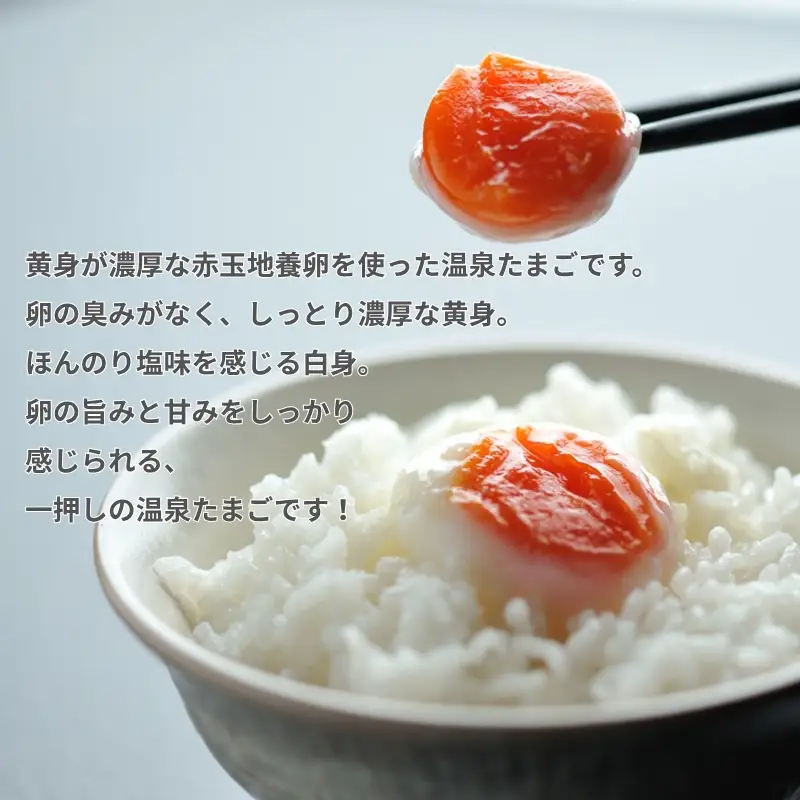 No.0980 森山の温泉たまご　たまご美人赤玉10個入り×6箱セット
