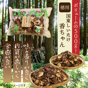 ボリュームの500g！国東しいたけ香ちゃん （徳用）_1735R