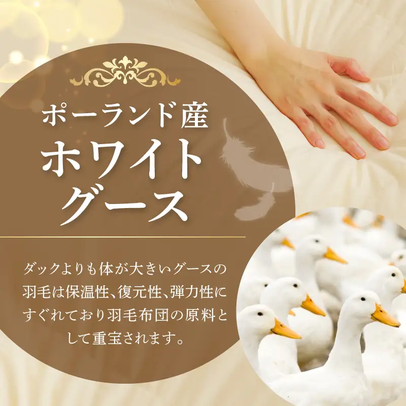 羽毛布団 1枚 ポーランド産グース贅沢仕様 シングル 150cm×210cm アイボリー