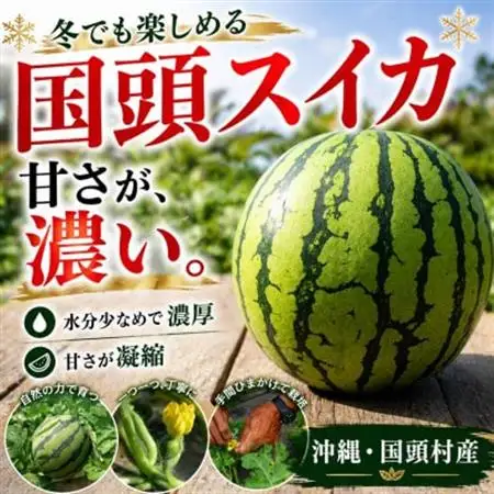 【2027年2月中旬から順次発送】島袋さんの冬スイカ 1玉(3.5～4.5kg)【配送不可地域：離島】【1577664】
