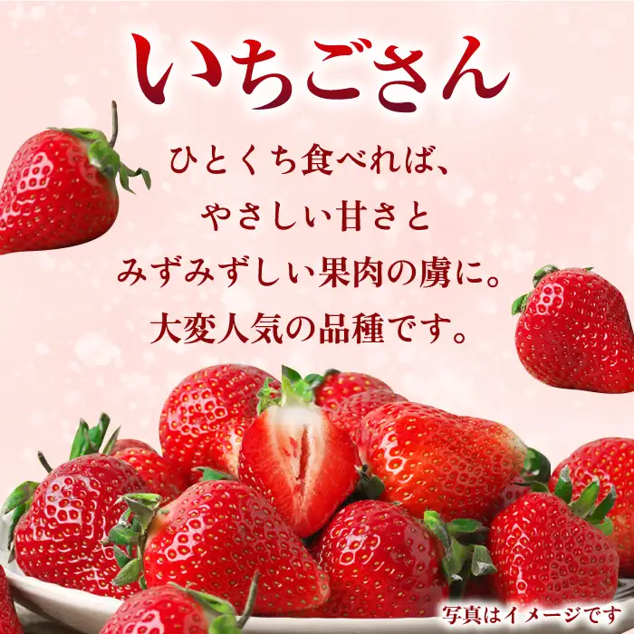 【先行予約・27年1月以降順次発送】いちごさん 平パック×4P 約1kg |いちご イチゴ 佐賀県産 佐賀県 佐賀 パック 吉野ヶ里町/リエンサーク [FCC003]