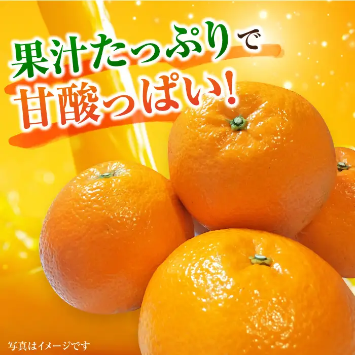 【先行予約・27年1月以降順次発送】佐賀県産 みかん 「伊予柑（いよかん）」 5kg |蜜柑 ミカン みかん| 吉野ヶ里町/リエンサーク [FCC008]