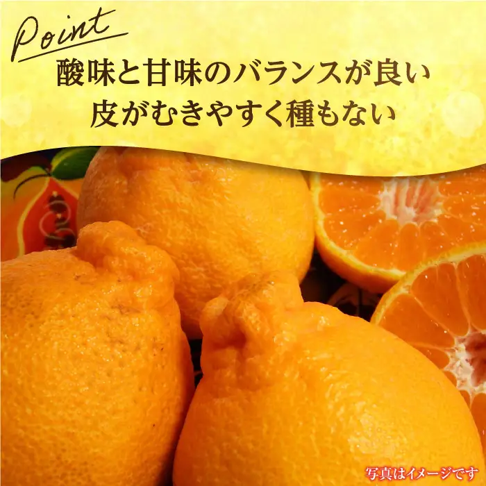 【先行予約・27年1月以降順次発送】佐賀県産 みかん「デコポン」5kg 吉野ヶ里町/リエンサーク [FCC007]