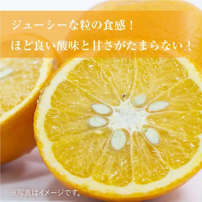 【先行予約・27年3月以降順次発送】佐賀県産 みかん「甘熟甘夏」約10kg 吉野ヶ里町/リエンサーク  [FCC012]