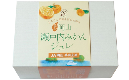 ゼリー 敷島堂 飲む 岡山瀬戸内みかんジュレ 6本入