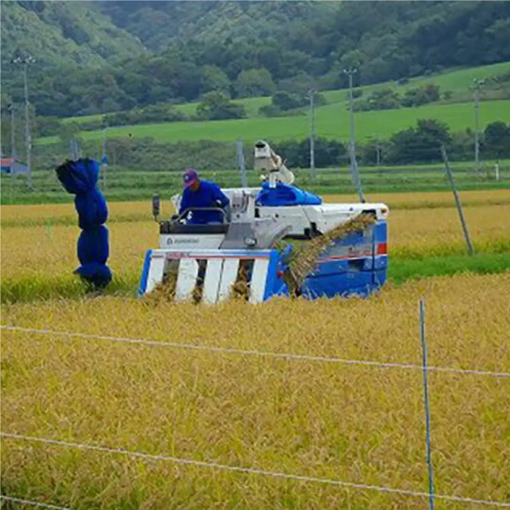 北海道産特別栽培米 アポイ米（ななつぼし）5kg