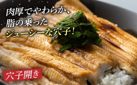対馬 穴子 W セット 1kg 煮穴子 白焼き [WAD028] あなご 食べ比べ 白焼き 煮穴子